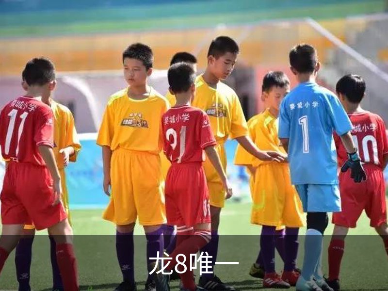 了解龙8唯一